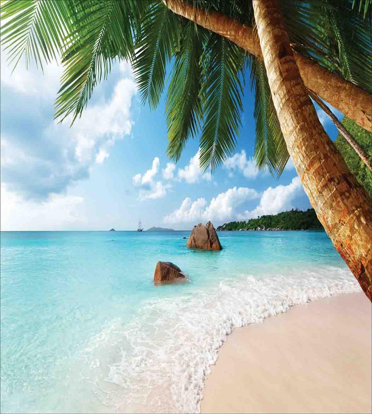 Exotic Palm Tree Ocean — Pattern