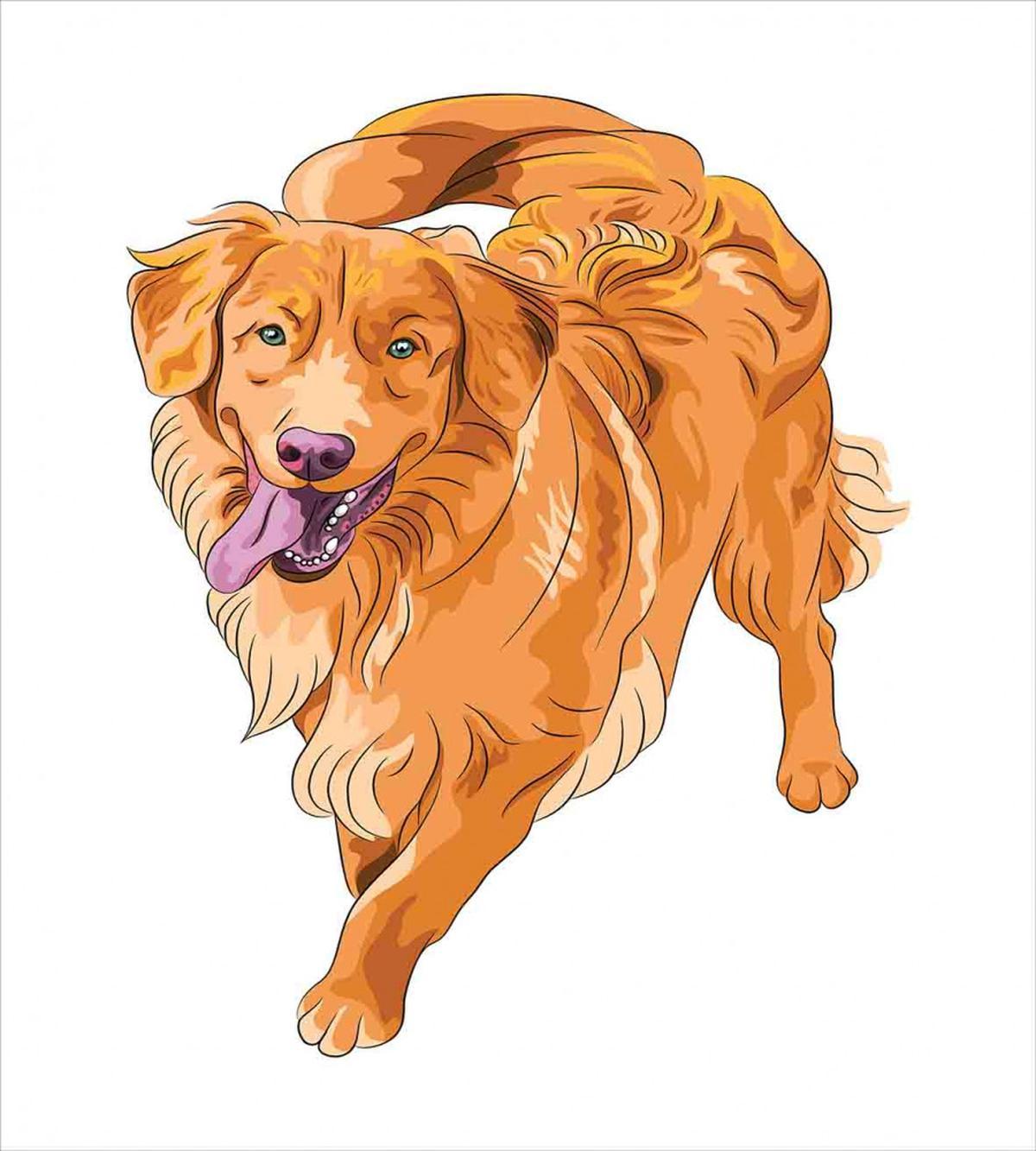 Playful Dog — Pattern