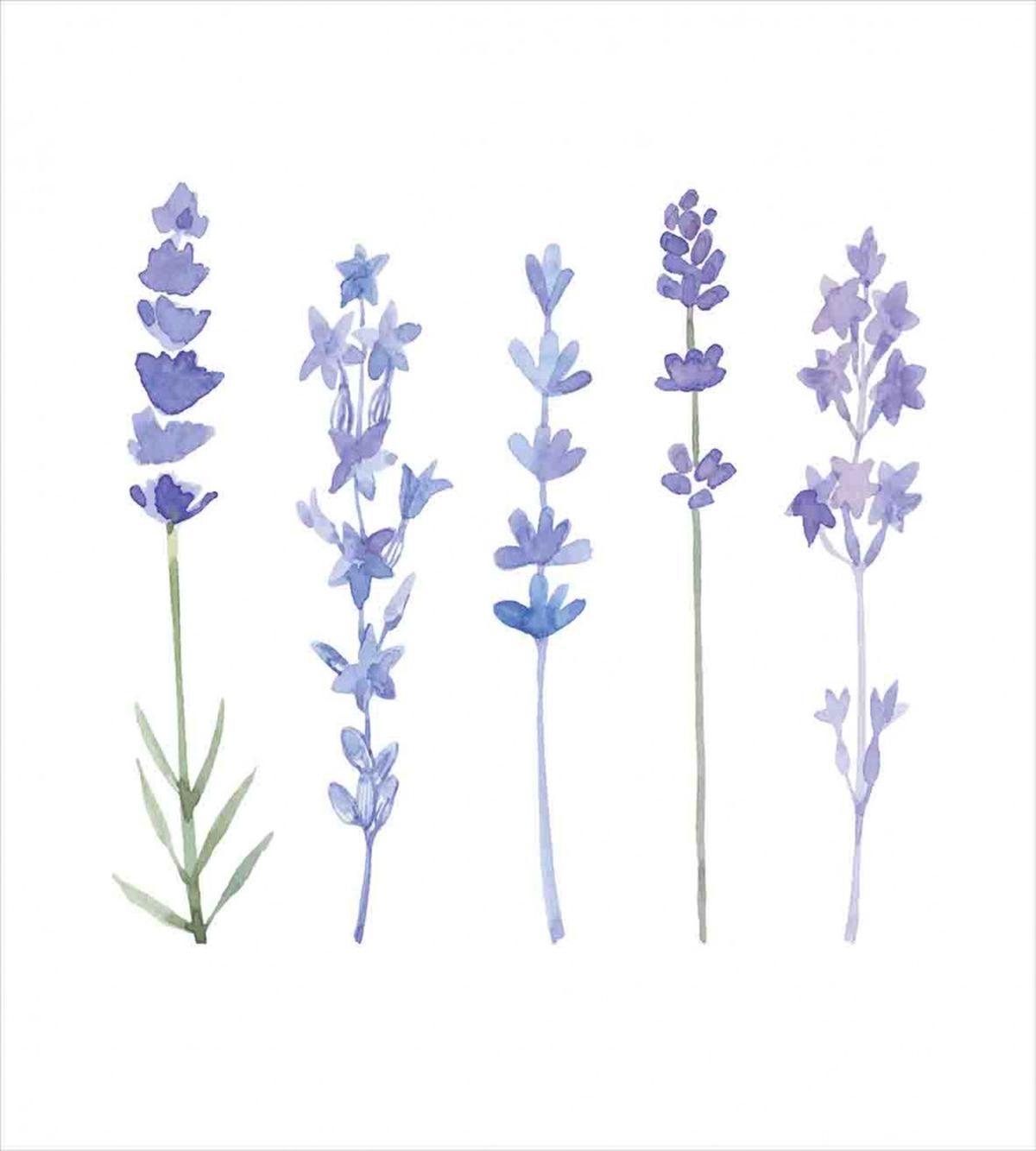Watercolor Rural Herbs — Pattern