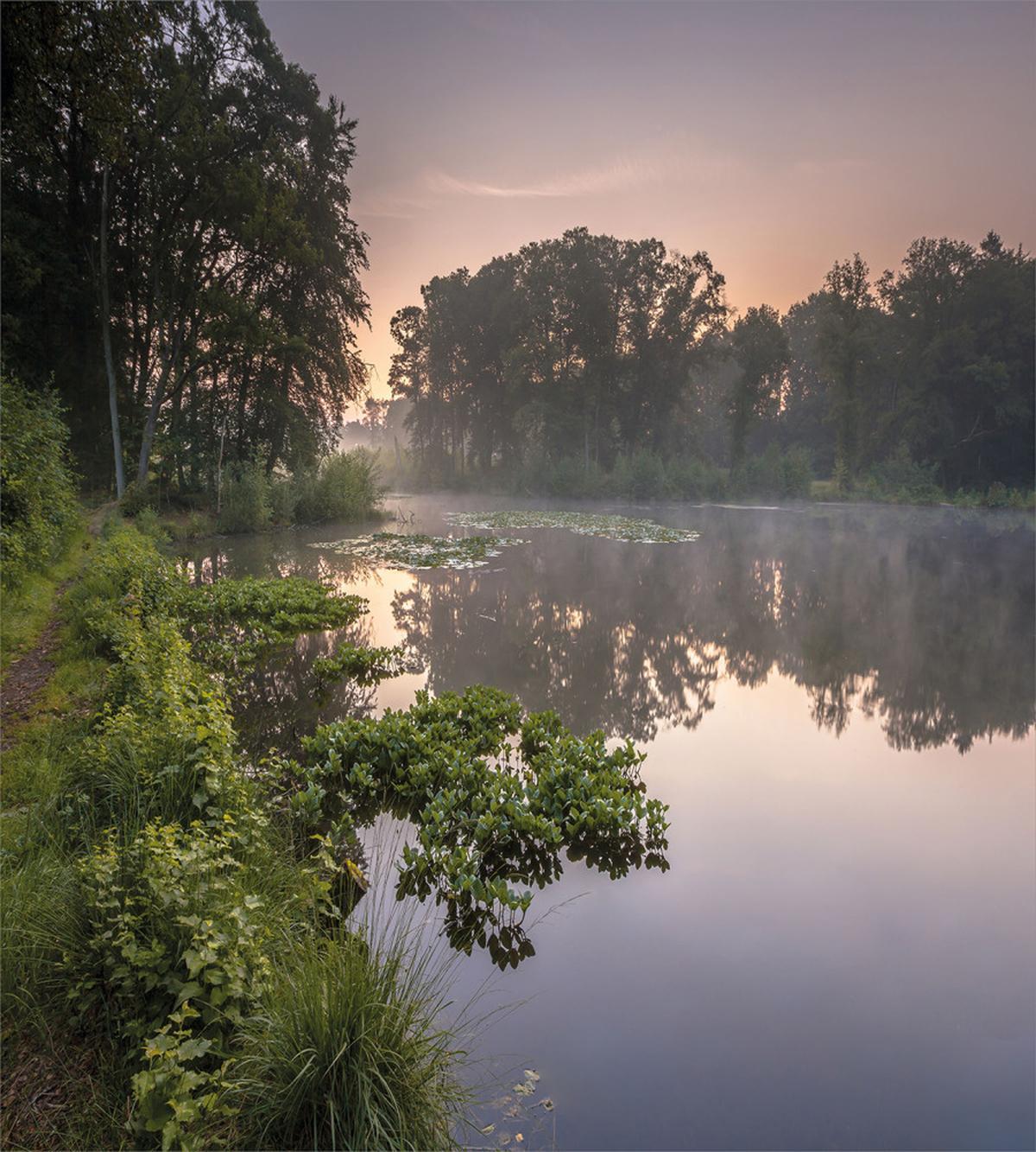 Lake Natura Netherlands — Pattern