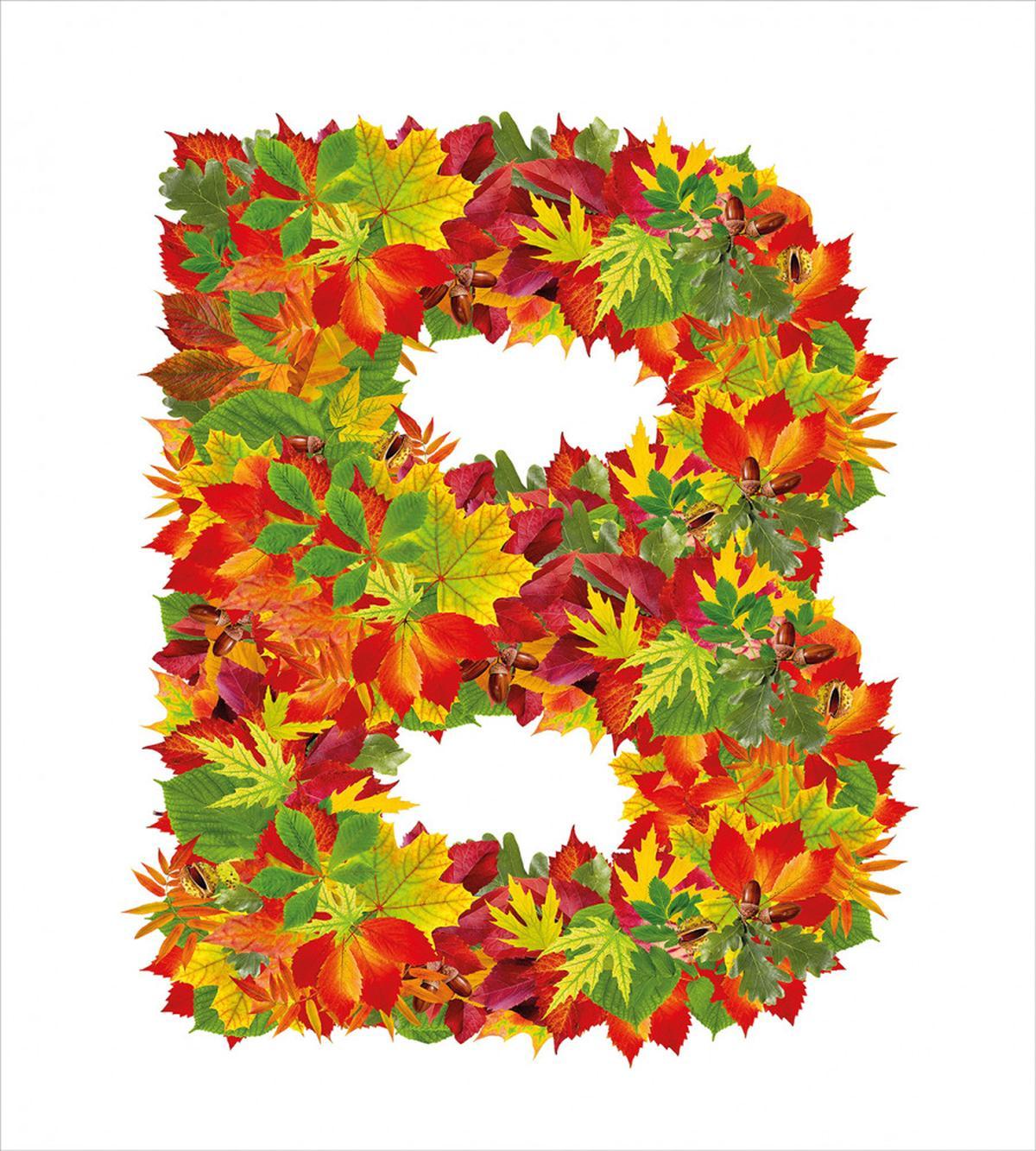 Second Letter Fall — Pattern