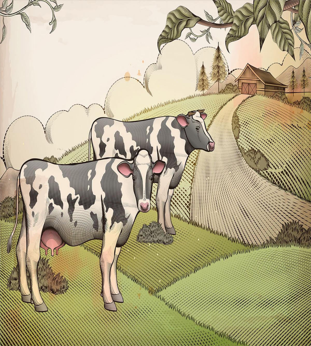 Dairy Cows Countryside — Pattern