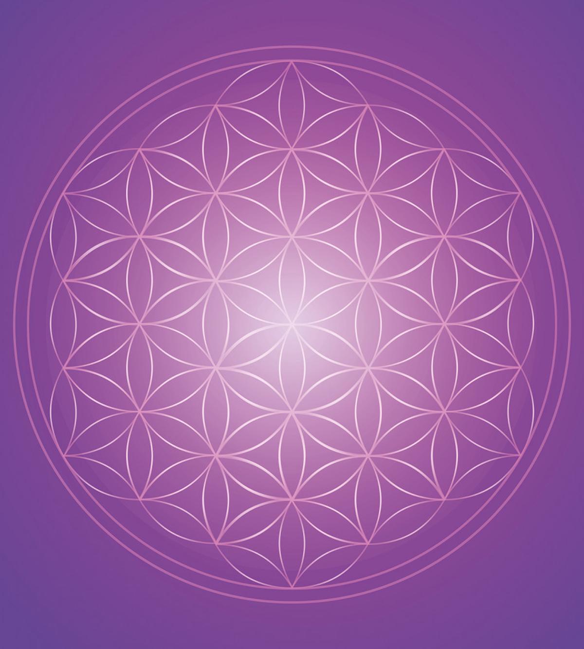 Flower Life Vibrant — Pattern
