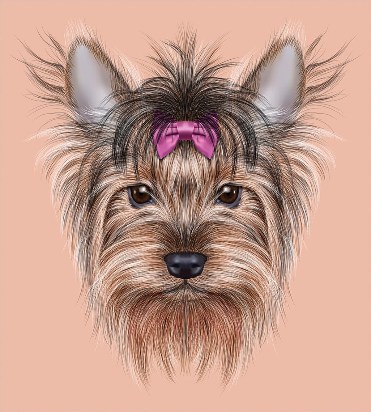 Realistic Animal — Pattern