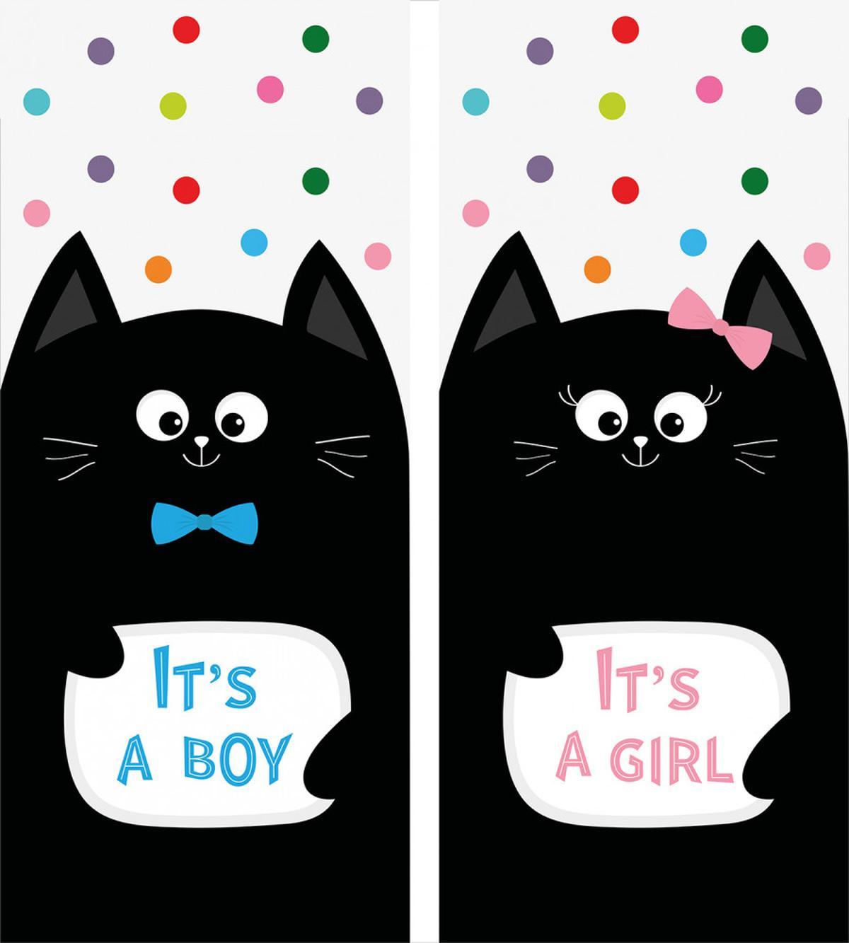 It's a Boy Baby Kitty — Pattern