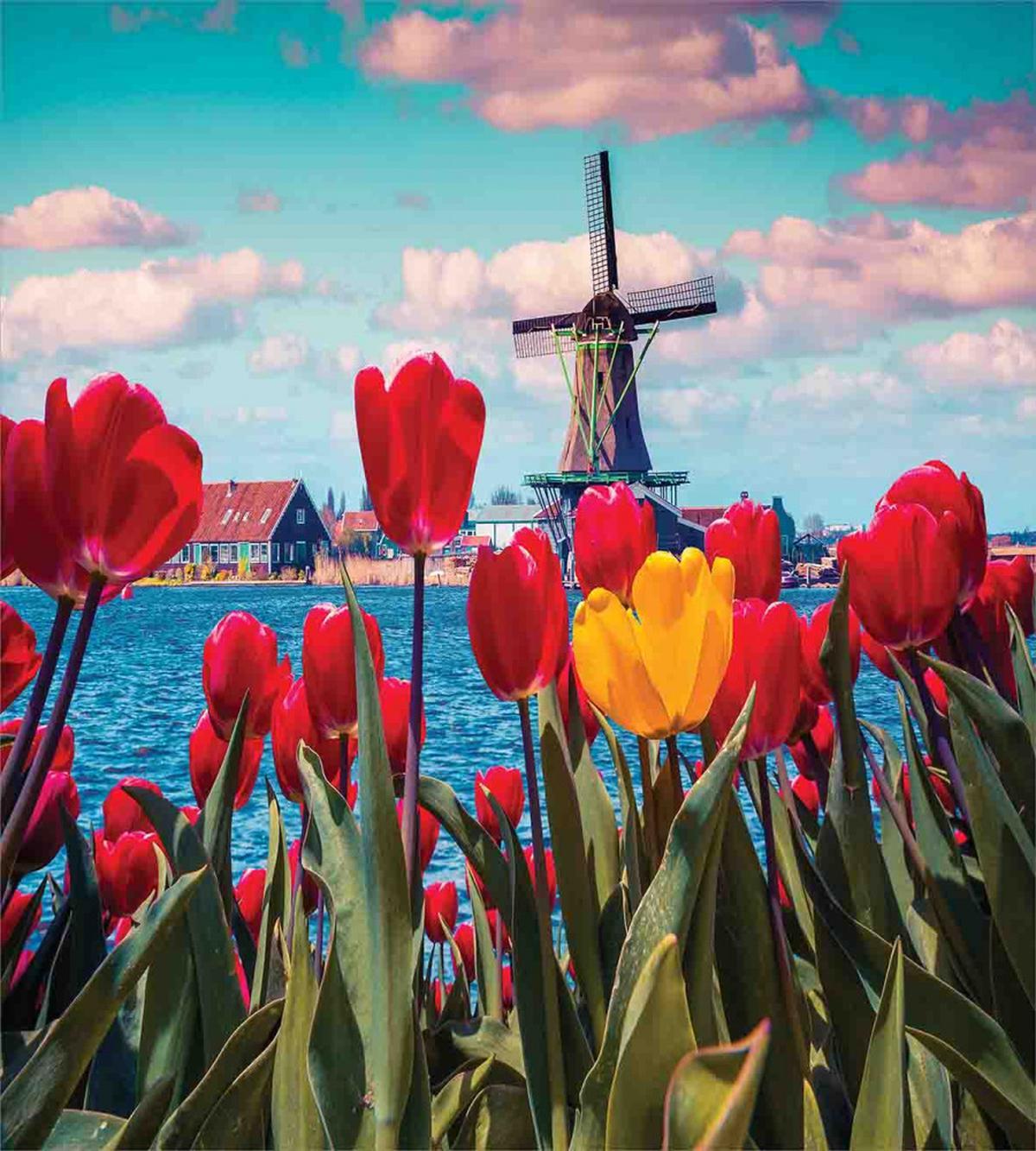 Idyllic Spring Tulips — Pattern