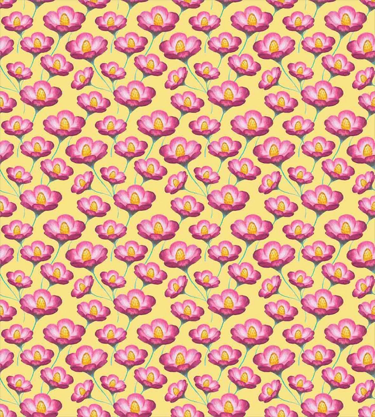 Cosmos Flowers Field — Pattern