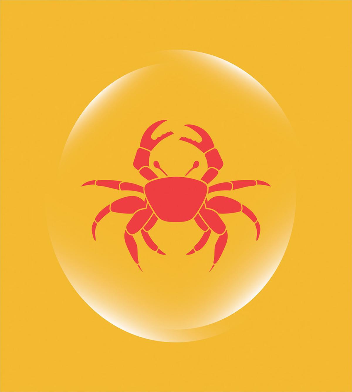 Bubble Seafood — Pattern