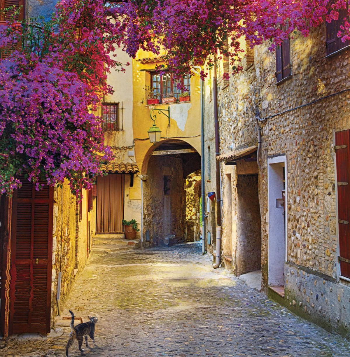 Historical Houses Alley — Pattern