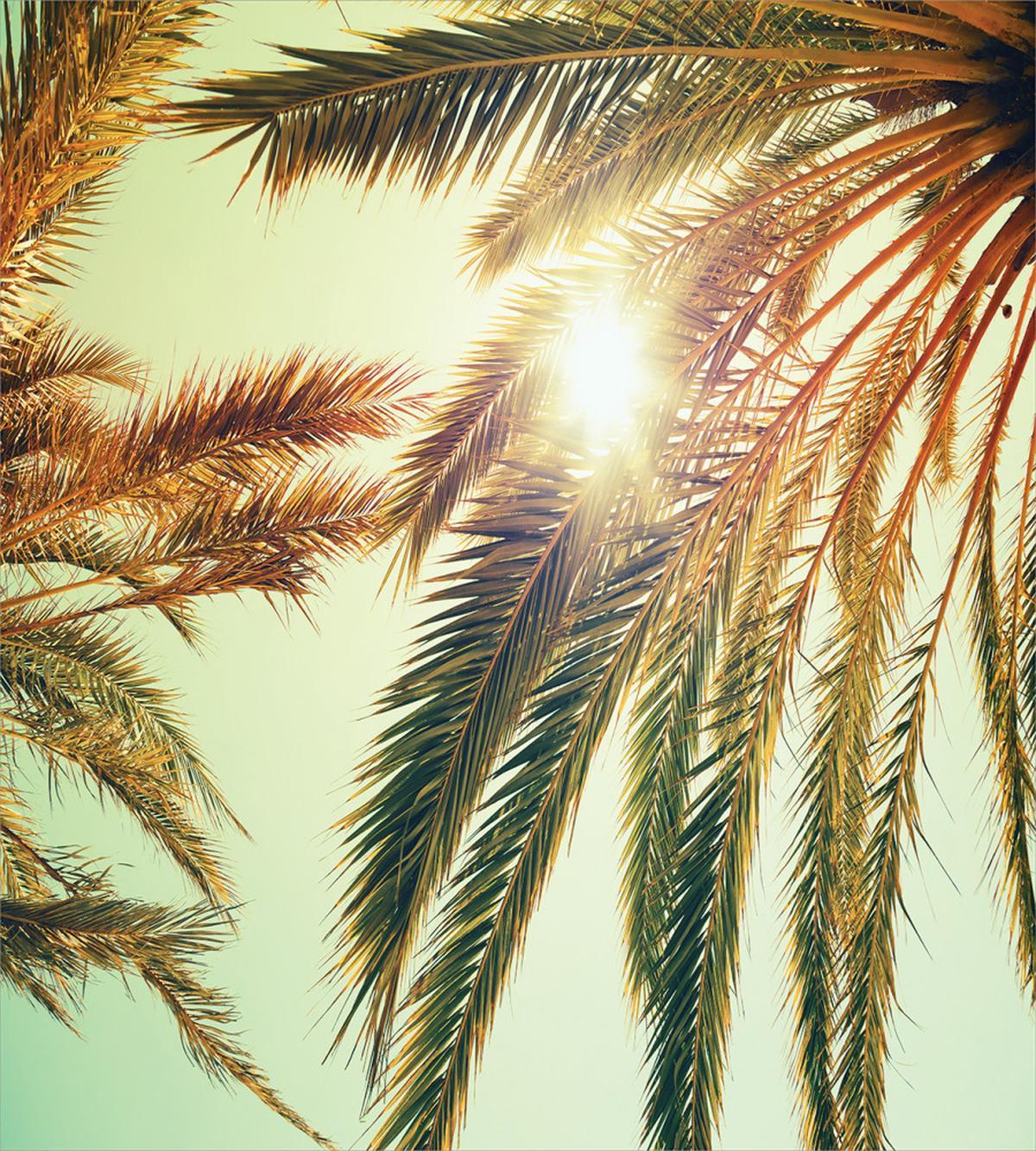 Sunbeams Tree Retro — Pattern