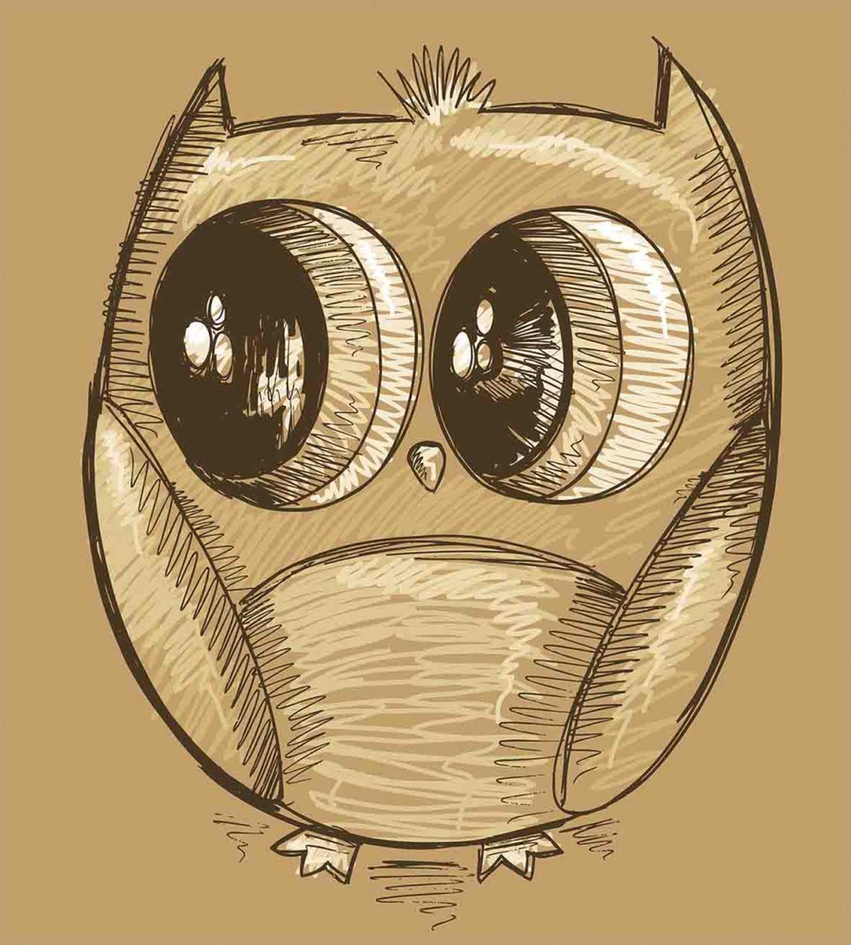 Owl Big Eyes — Pattern