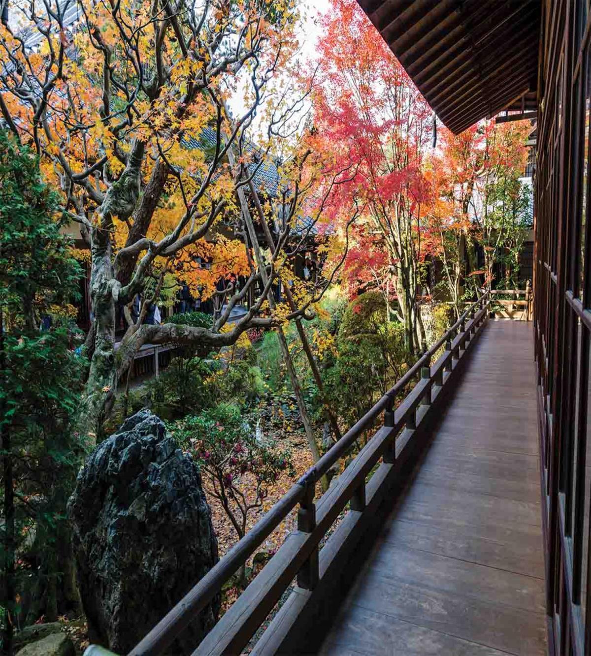 Wooden Balcony View — Pattern