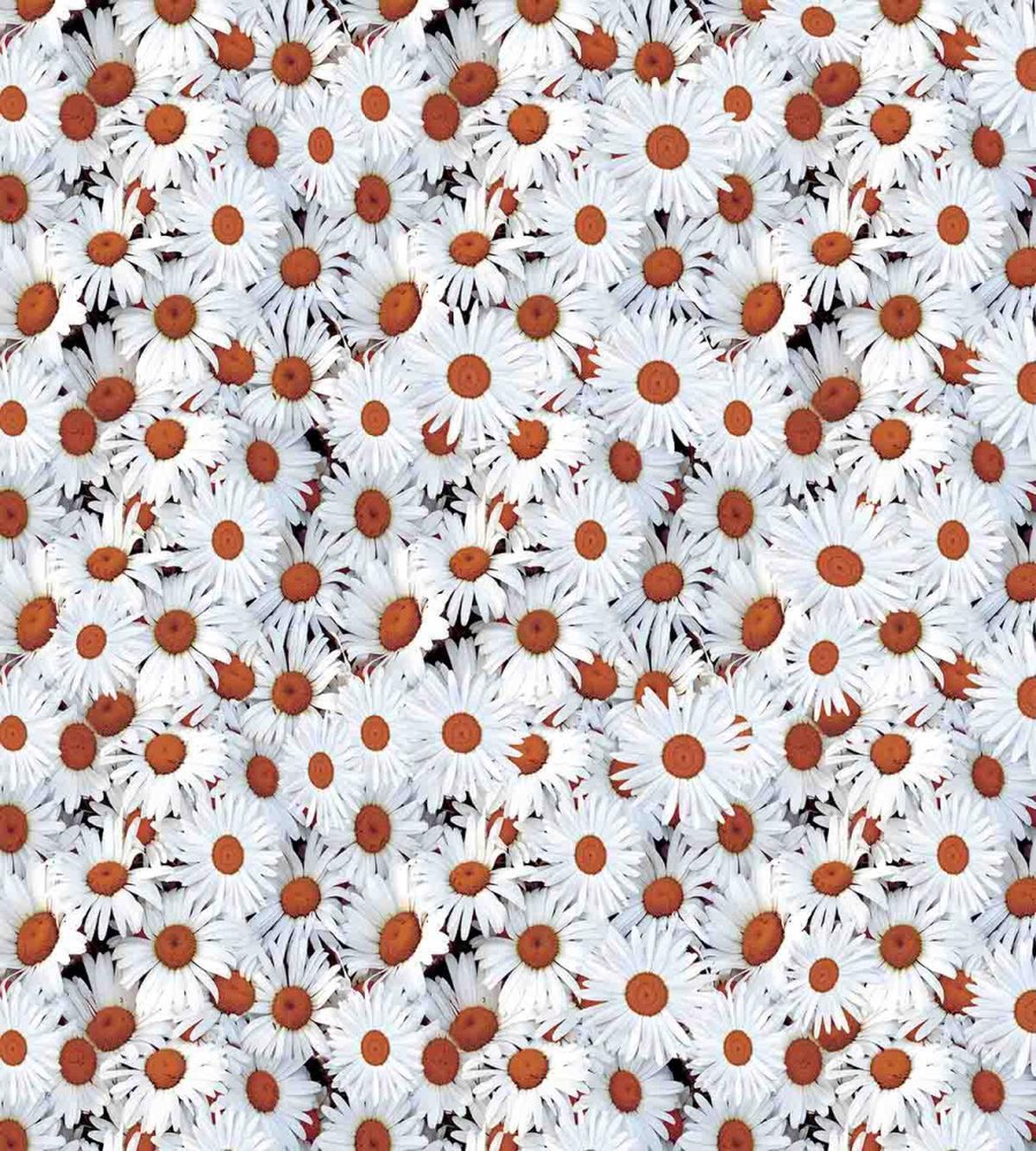 Close up Spring Flower — Pattern