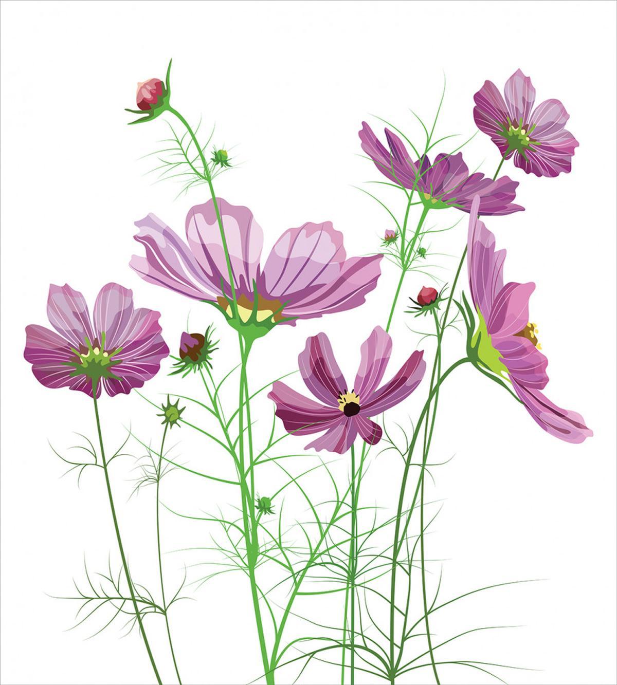 Spring Foliage — Pattern