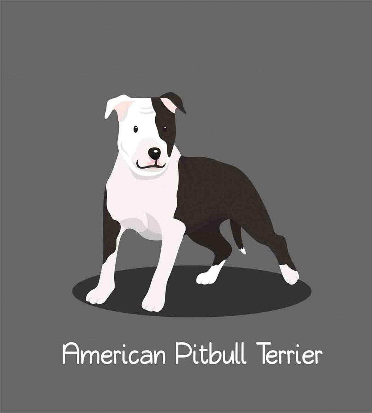 American Cartoon Terrier — Pattern