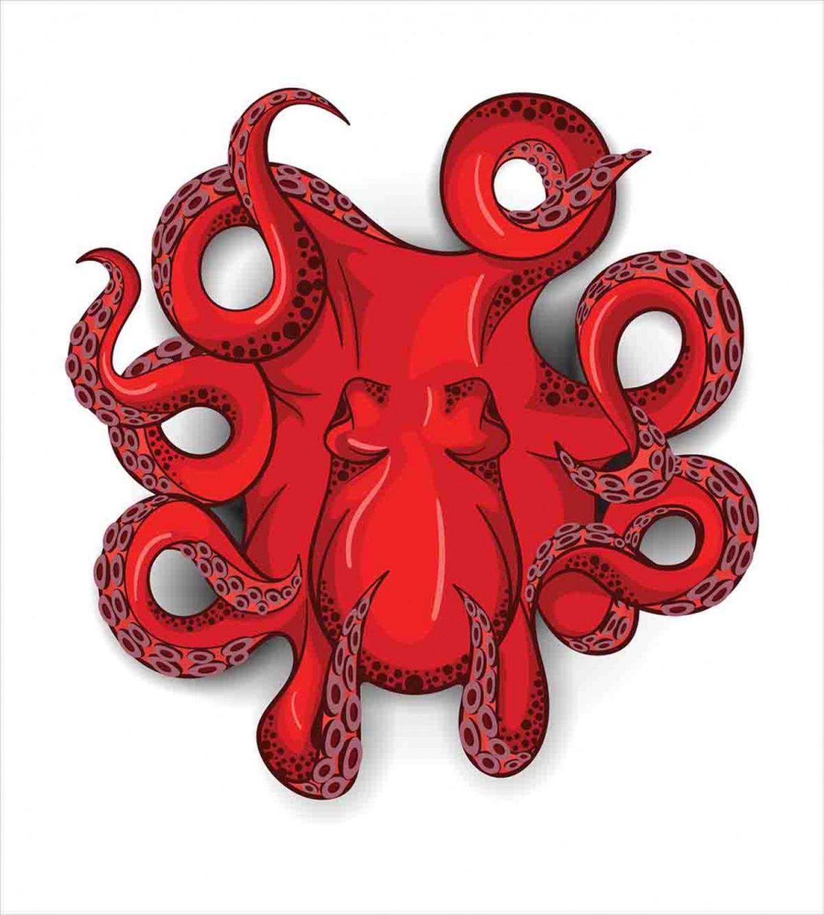 Octopus Animal Marine — Pattern