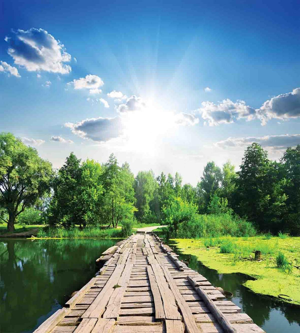 Wooden Bridge on River — Pattern