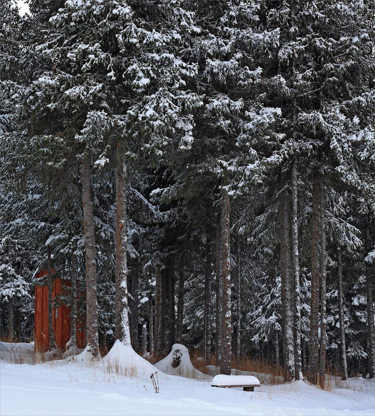 Snowy Forest Cottage — Pattern