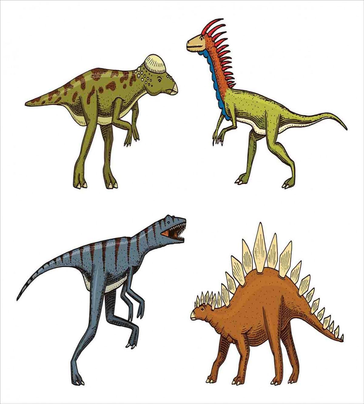 Reptile Fossils Animals — Pattern