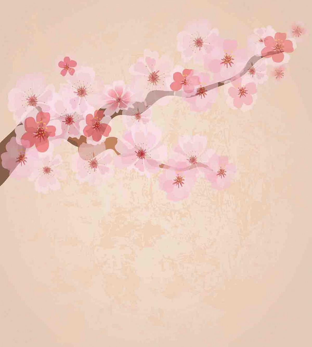 Pink Cherry Blossoms — Pattern