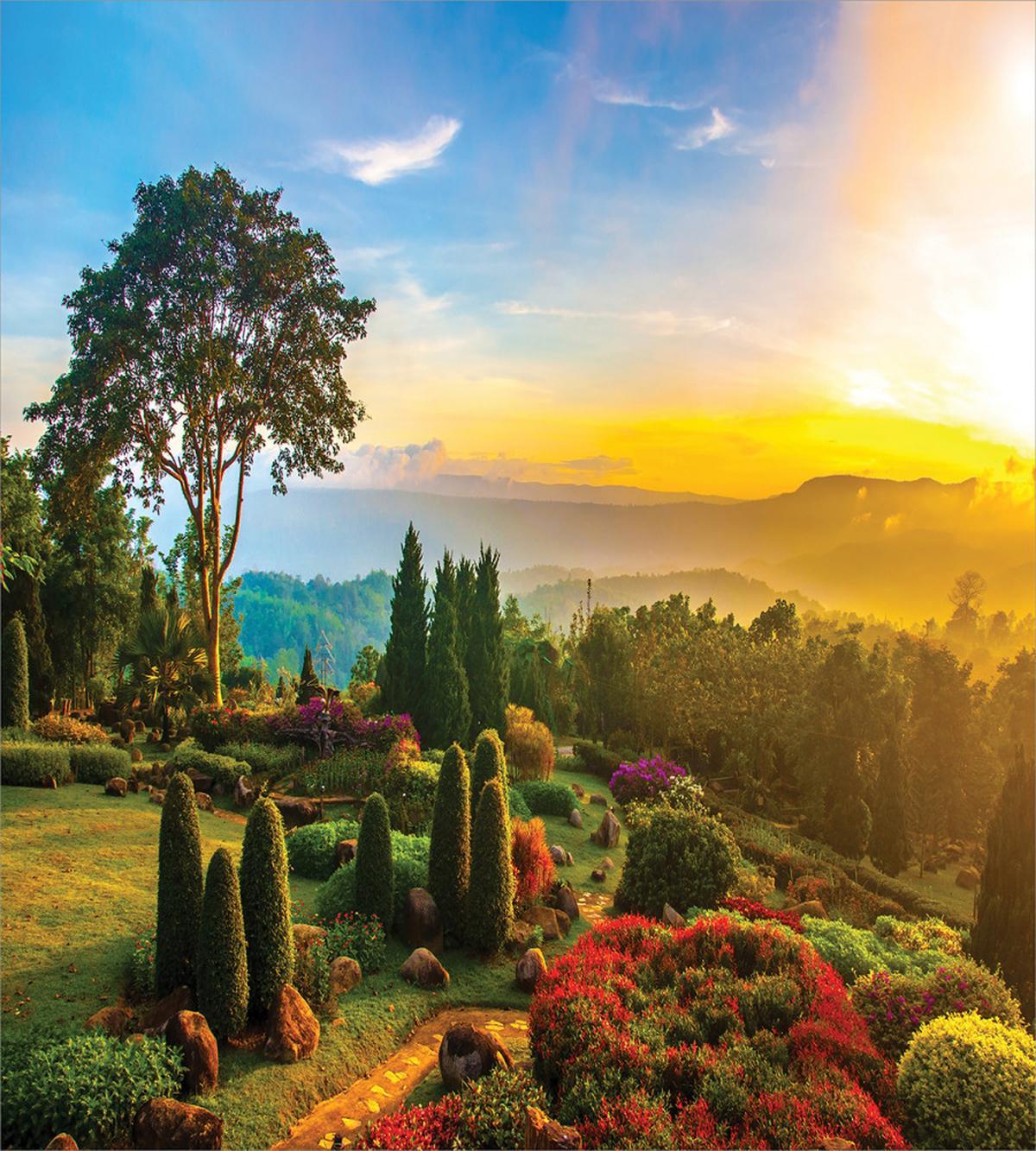 Colorful Idyllic Nature — Pattern
