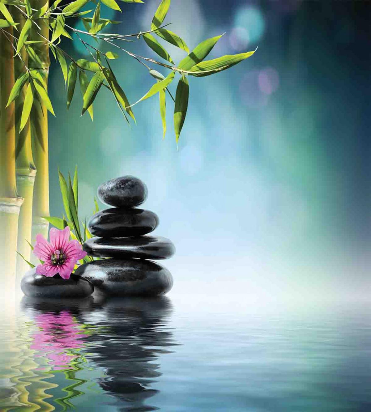 Hibiscus Bamboo on Water — Pattern