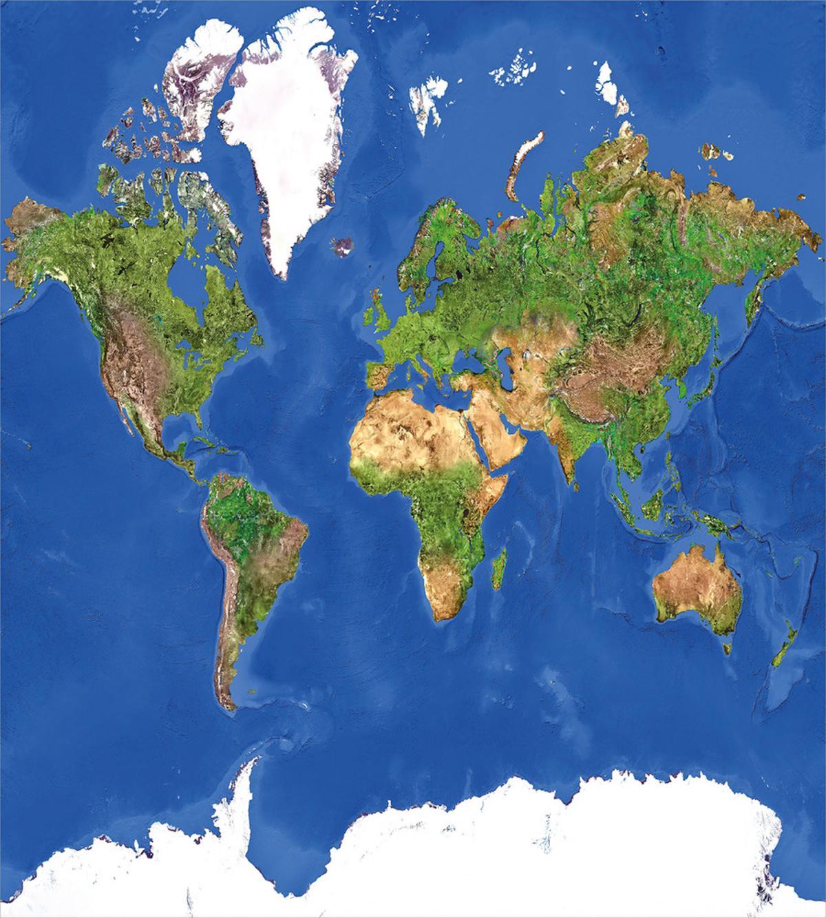 Continents Vegetation — Pattern