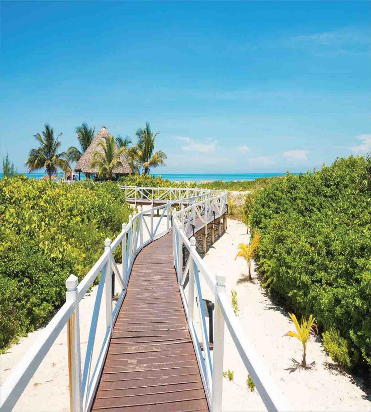 Wooden Walkway Exotic — Pattern