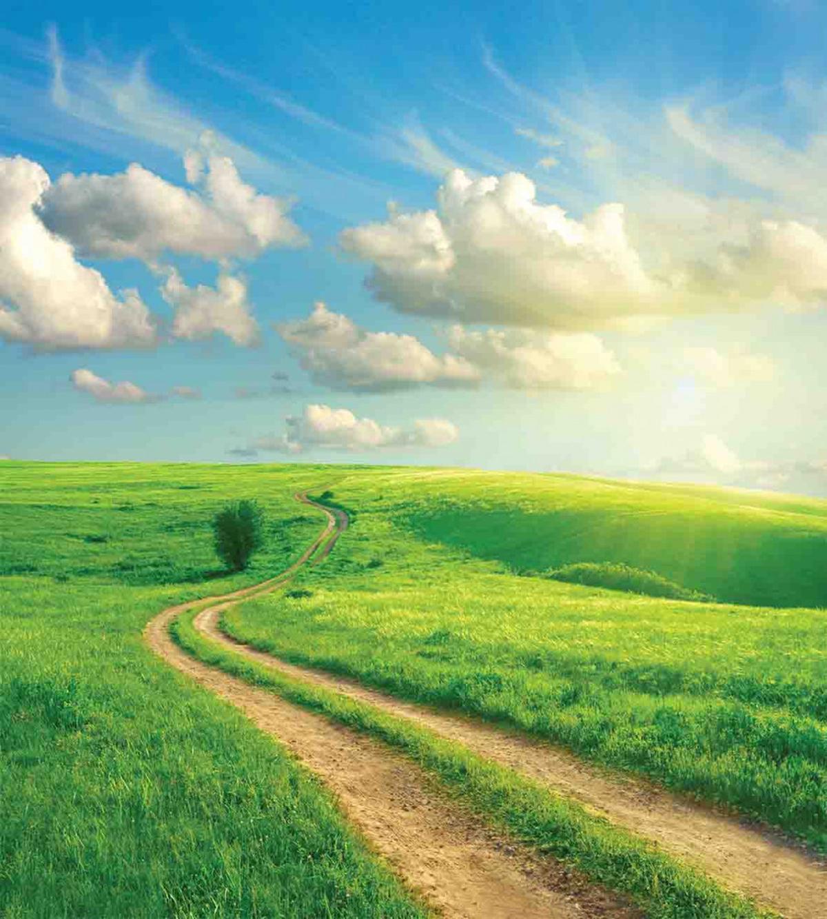 Grassy Hill Sky Pathway — Pattern