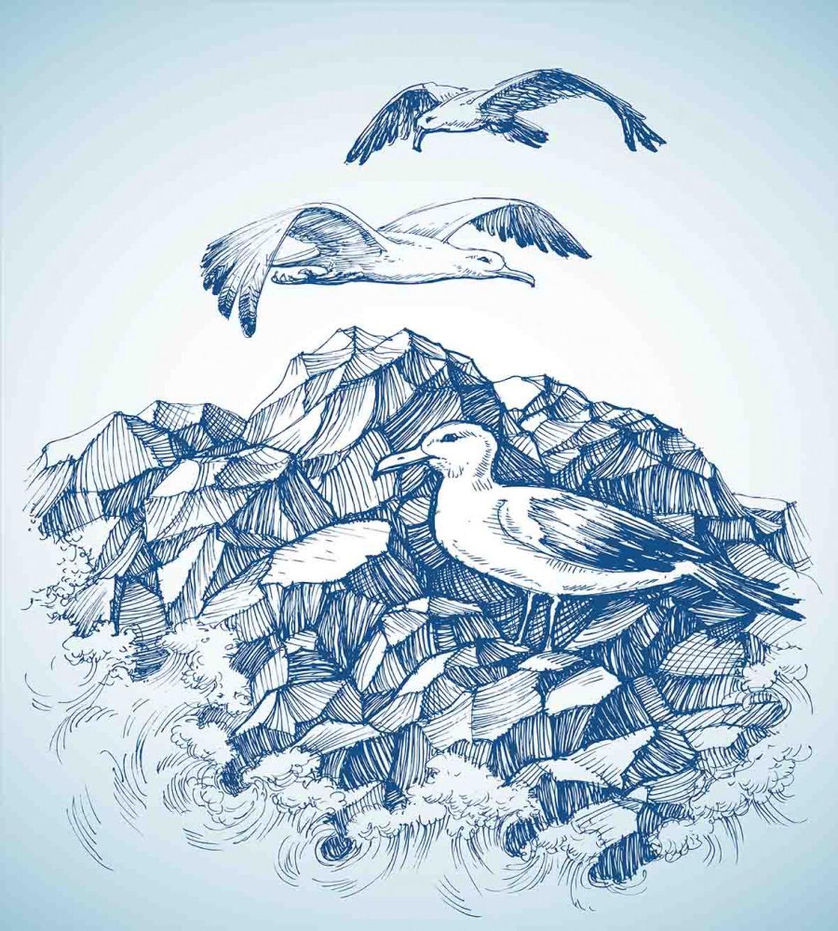 Seagull Mountain Sketch — Pattern