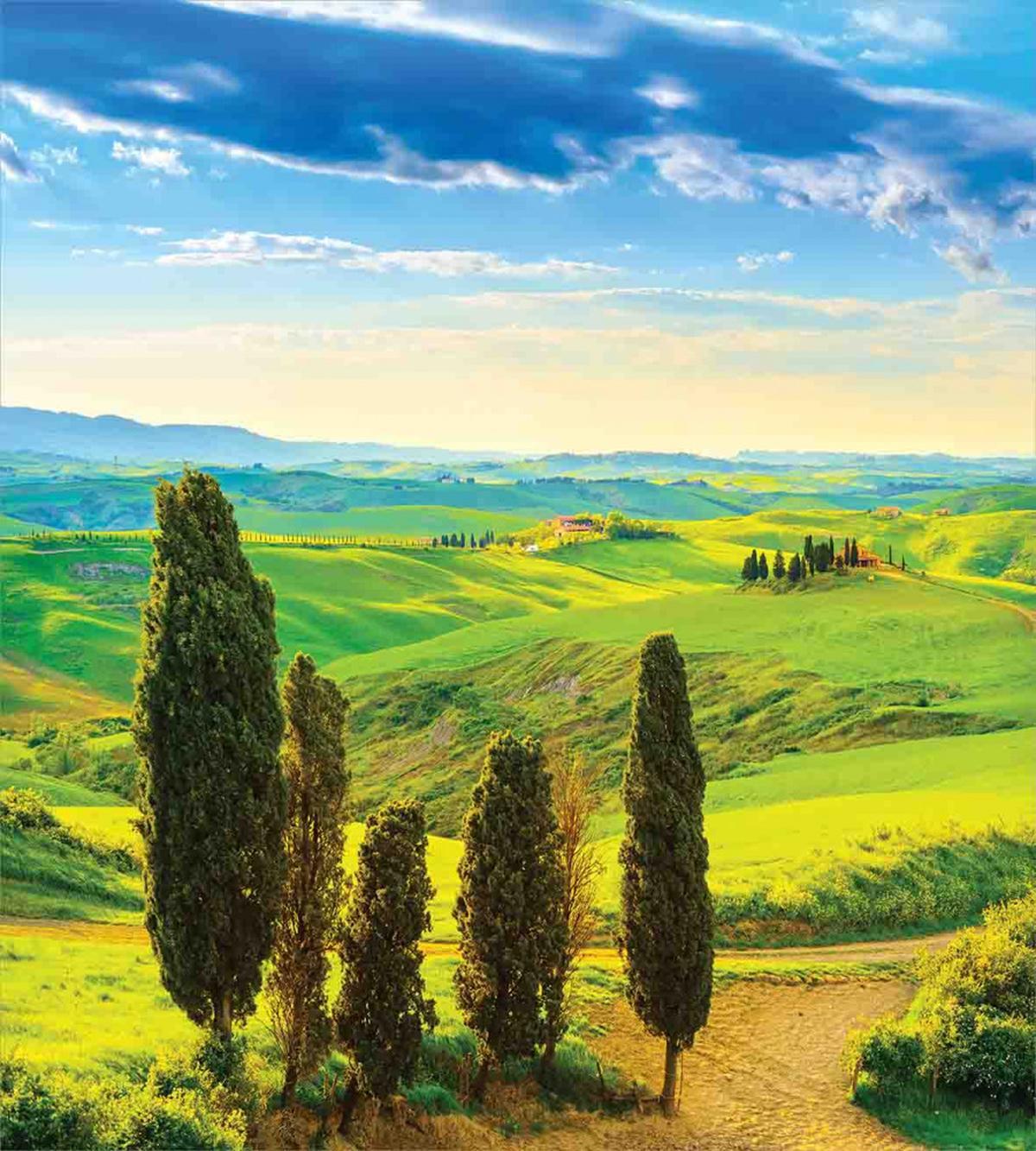 Rural Sunset in Italy — Pattern