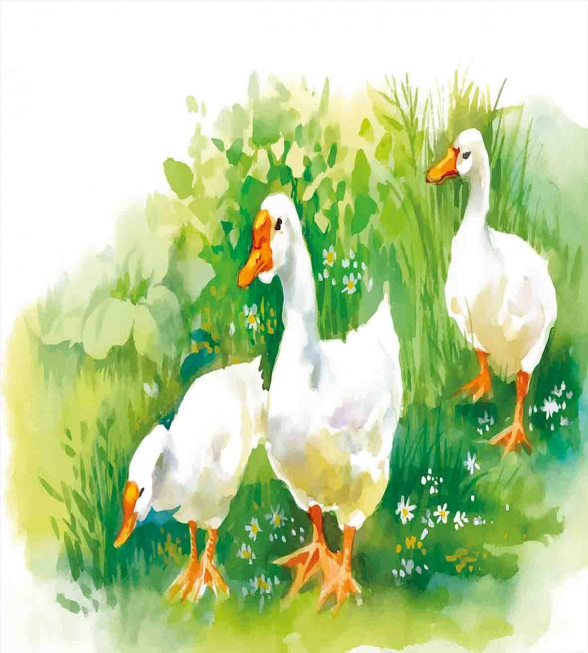 Goose Farm Lake Plants — Pattern