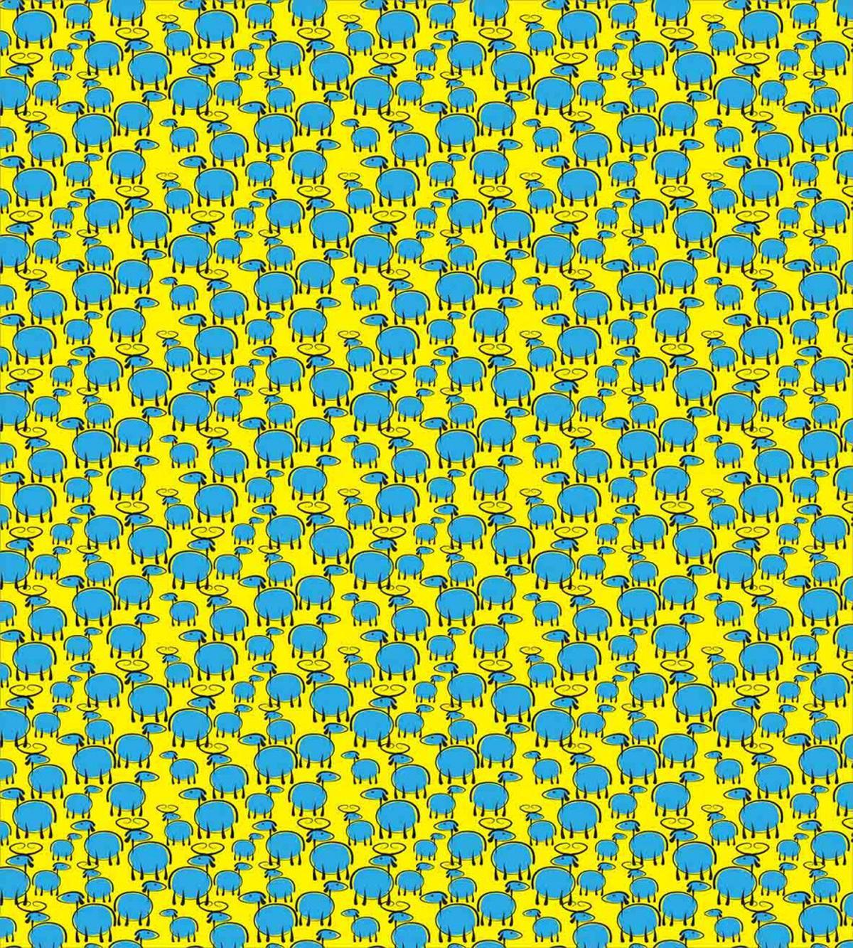 Vibrant Color Doodle Sheep — Pattern
