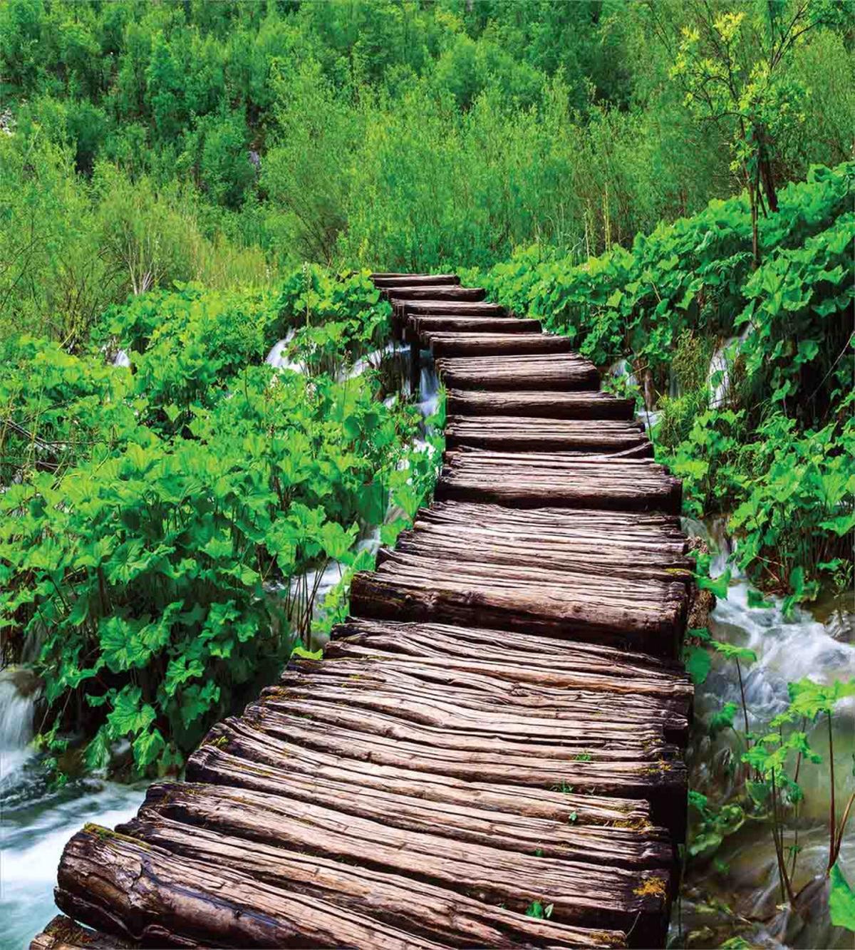 Pathway Stream Jungle — Pattern