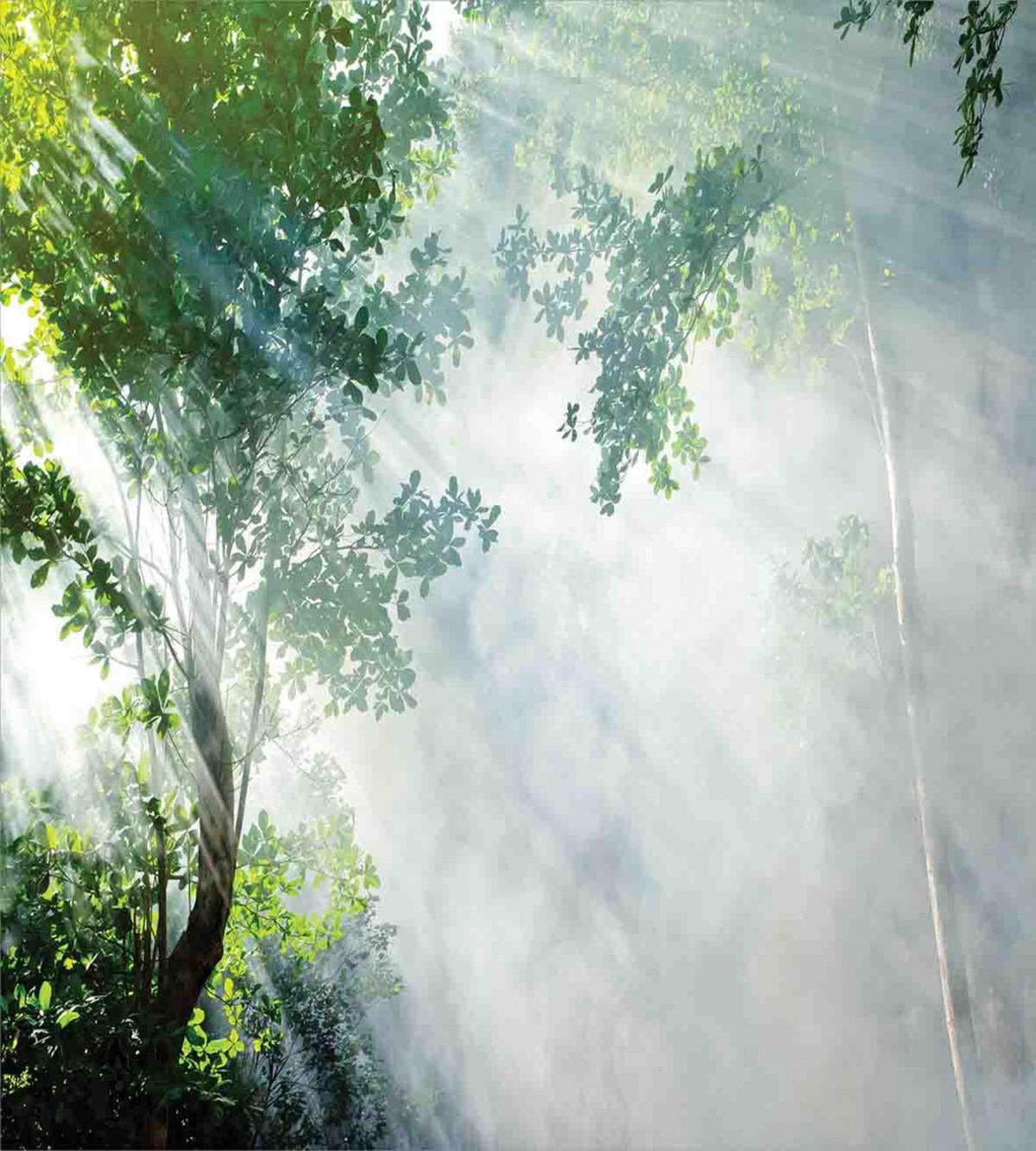 Sunbeams Shadows Idyllic — Pattern