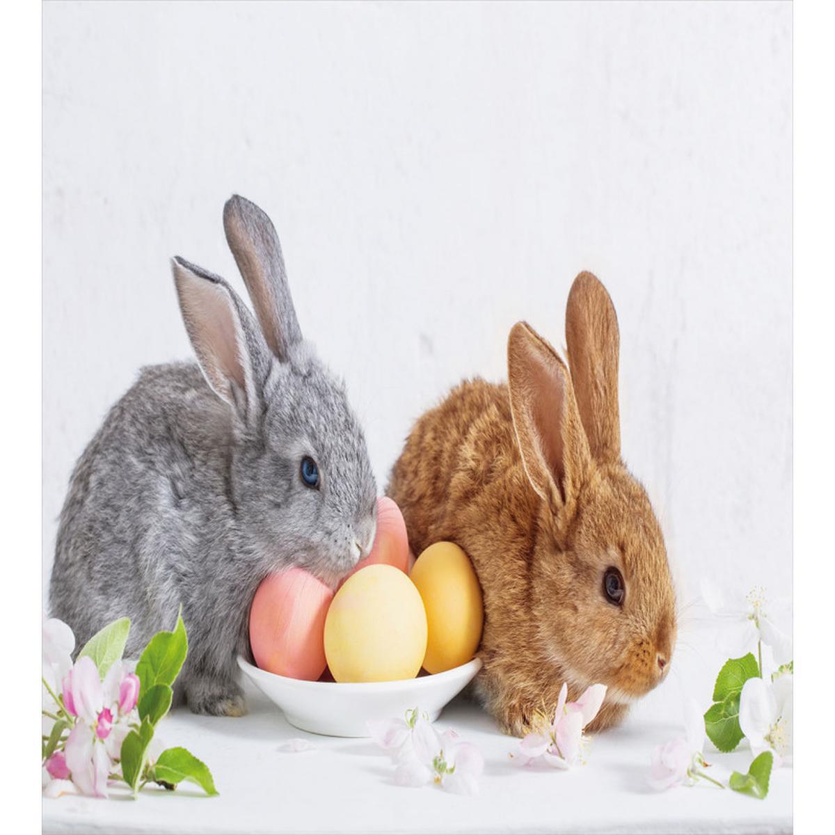 2 Rabbits with Eggs — Pattern