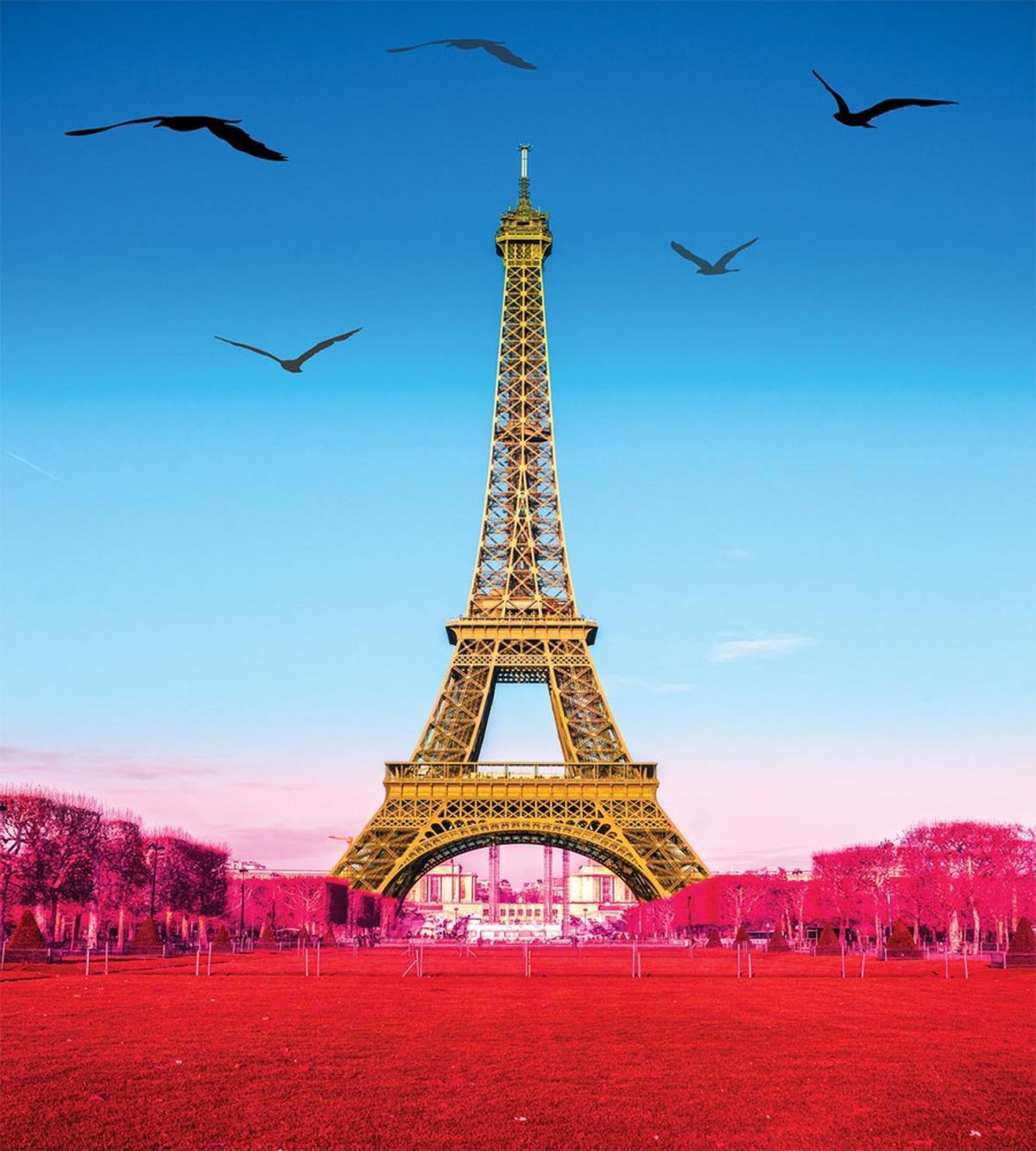 Abstract Grass Eiffel Tower — Pattern