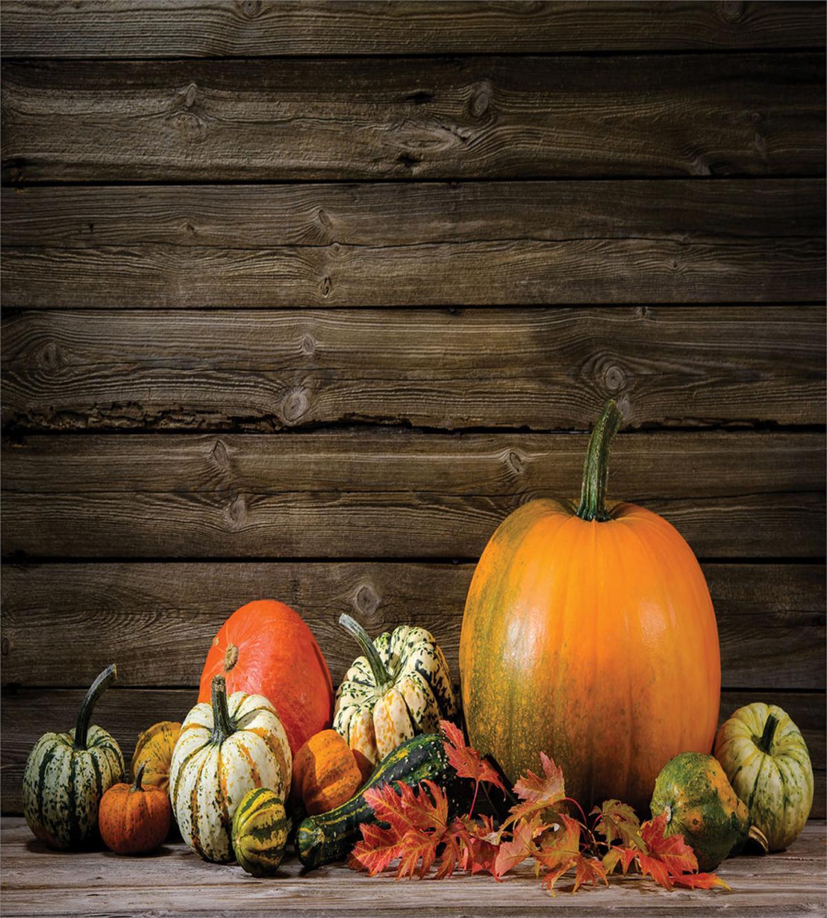 Thanksgiving Day — Pattern