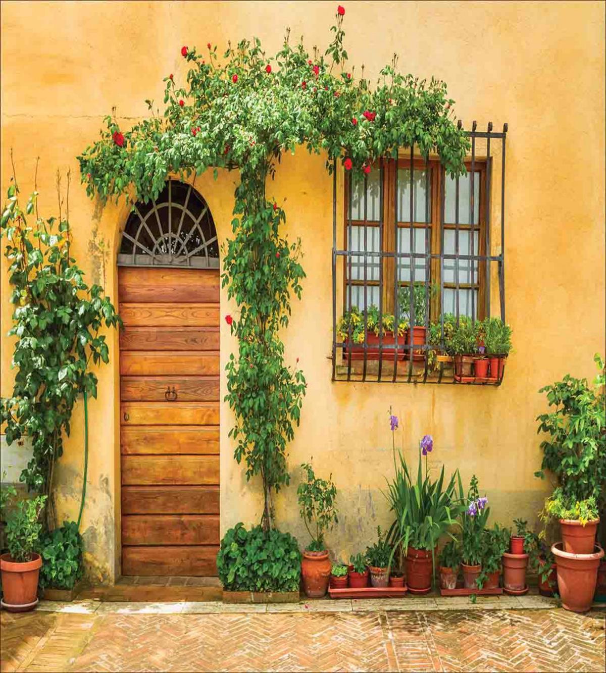 Plants and House Door — Pattern