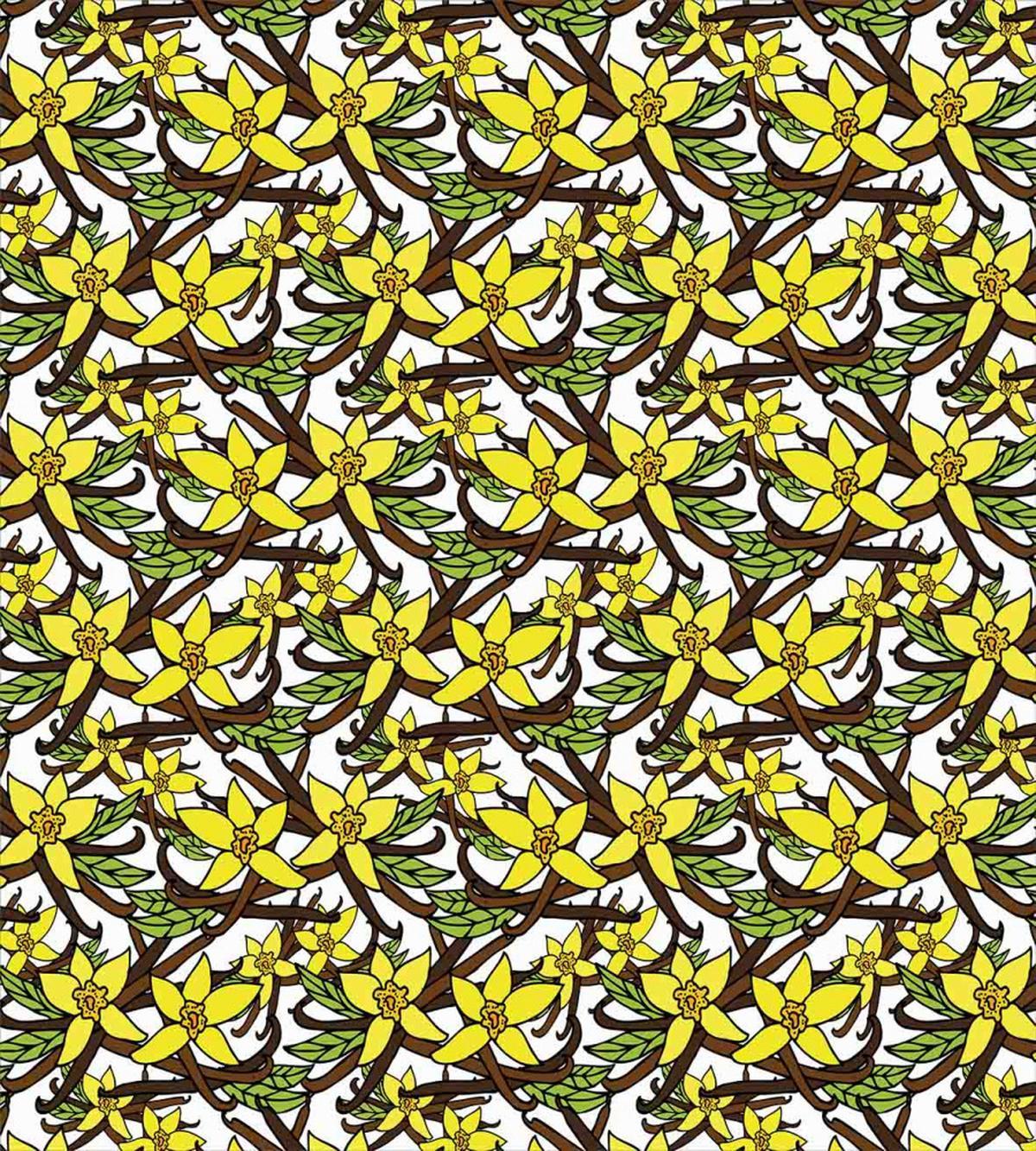 Ornamental Vanilla Flower — Pattern
