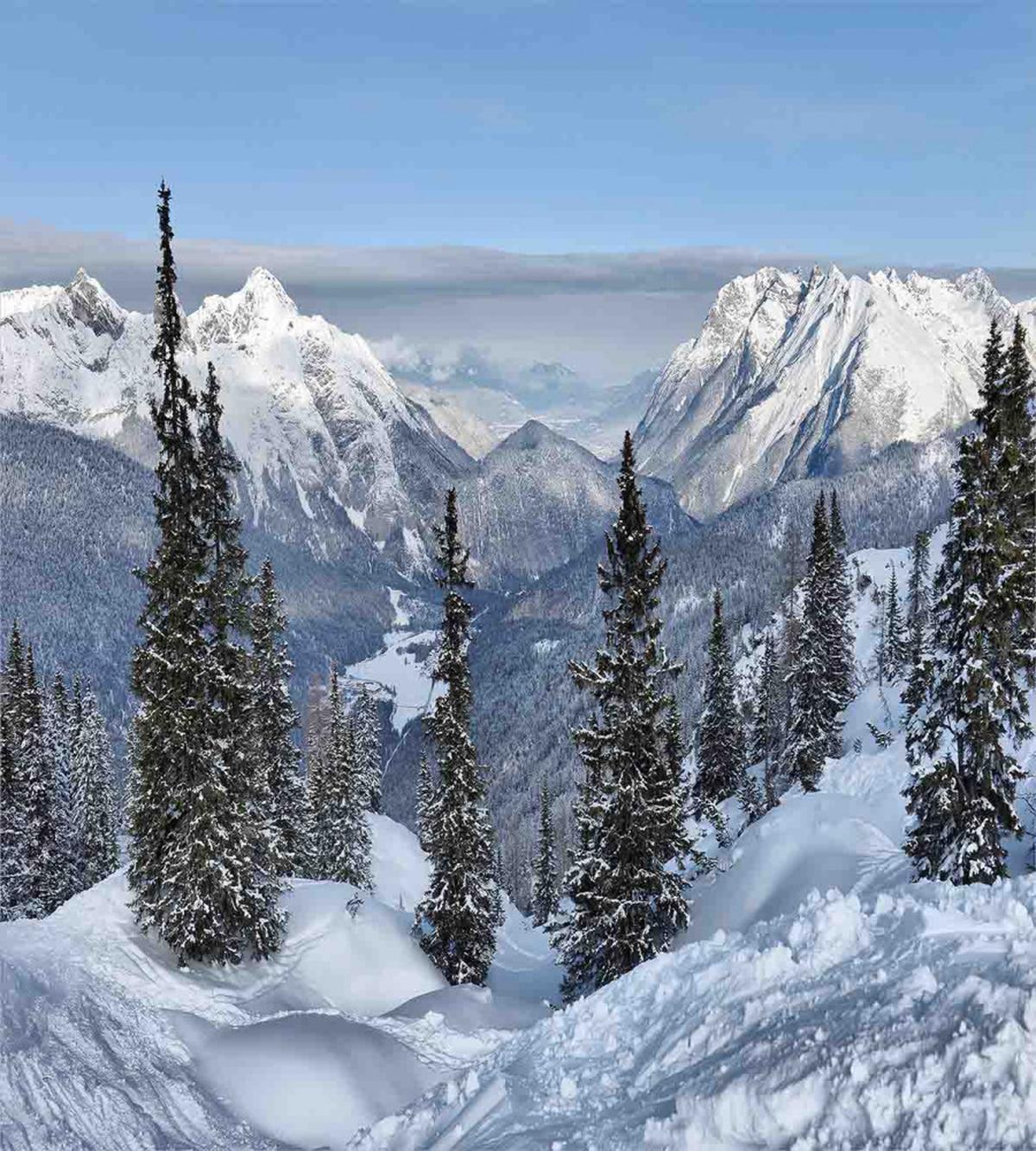 Woodland Snowy Mountain — Pattern