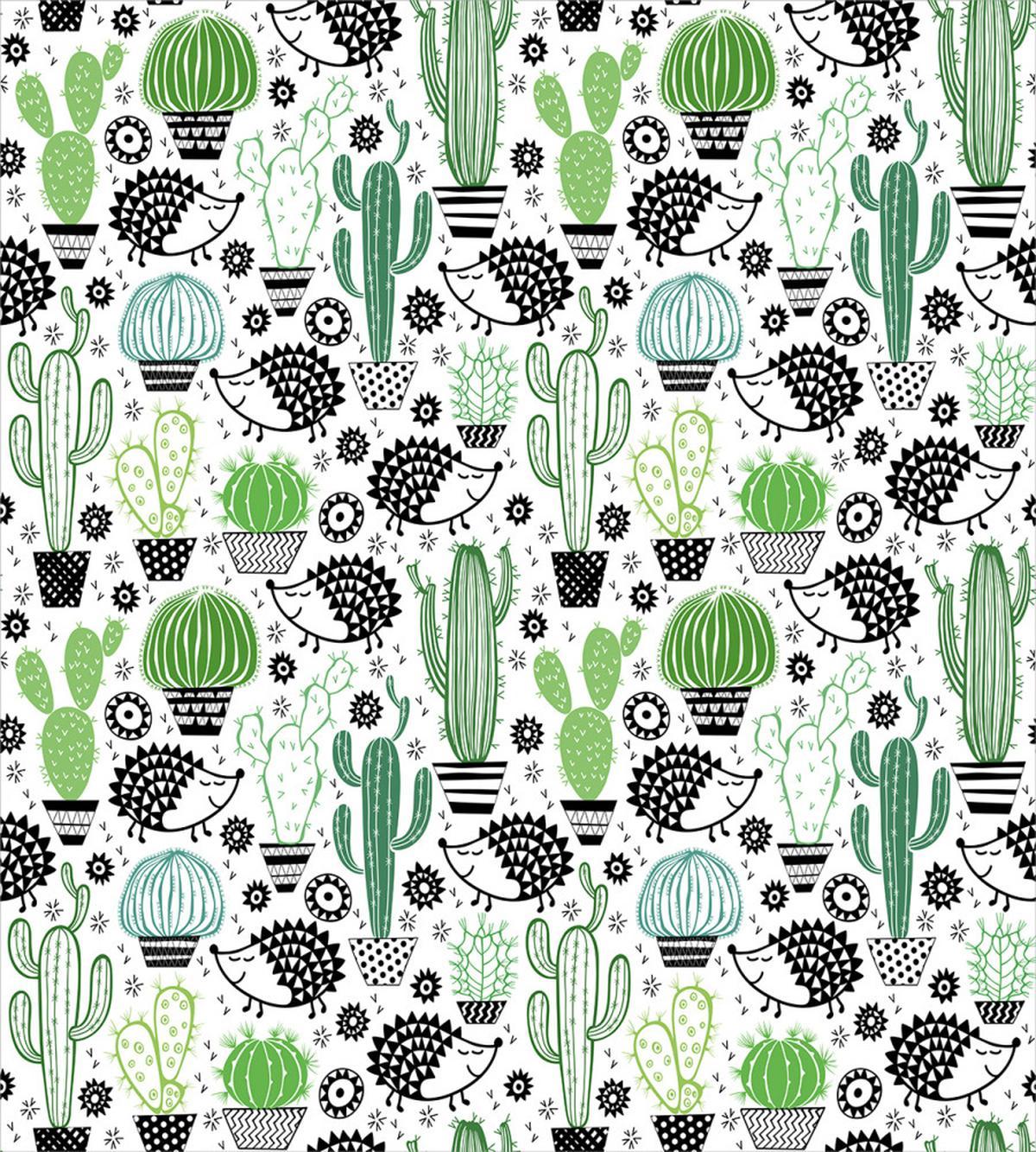 Hedgehog Saguaro Cartoon — Pattern