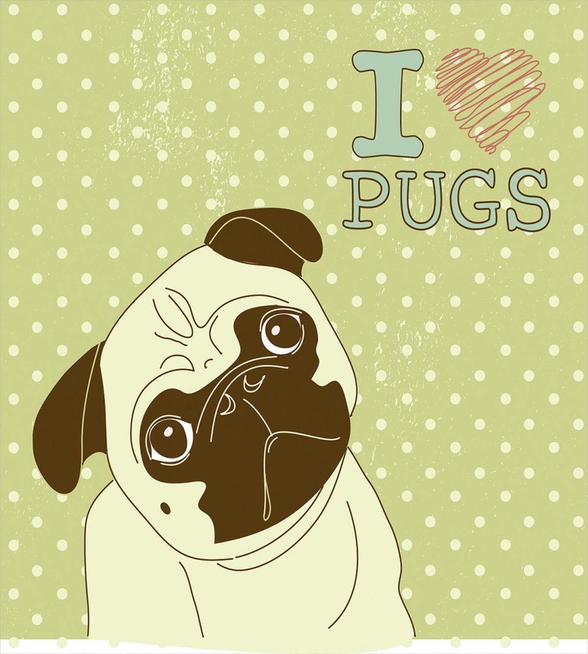 Tilted Head Dog Funny — Pattern
