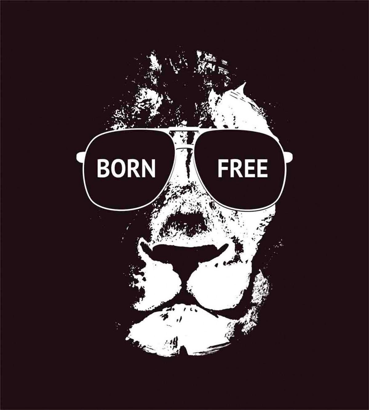 Lion Glasses — Pattern