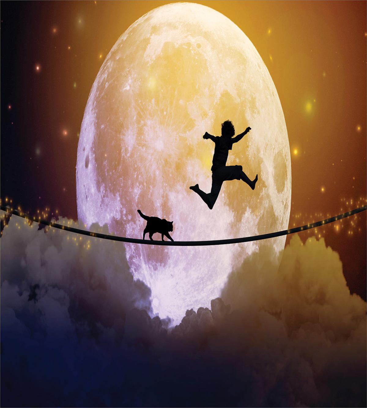 Boy and Cat on Rope — Pattern