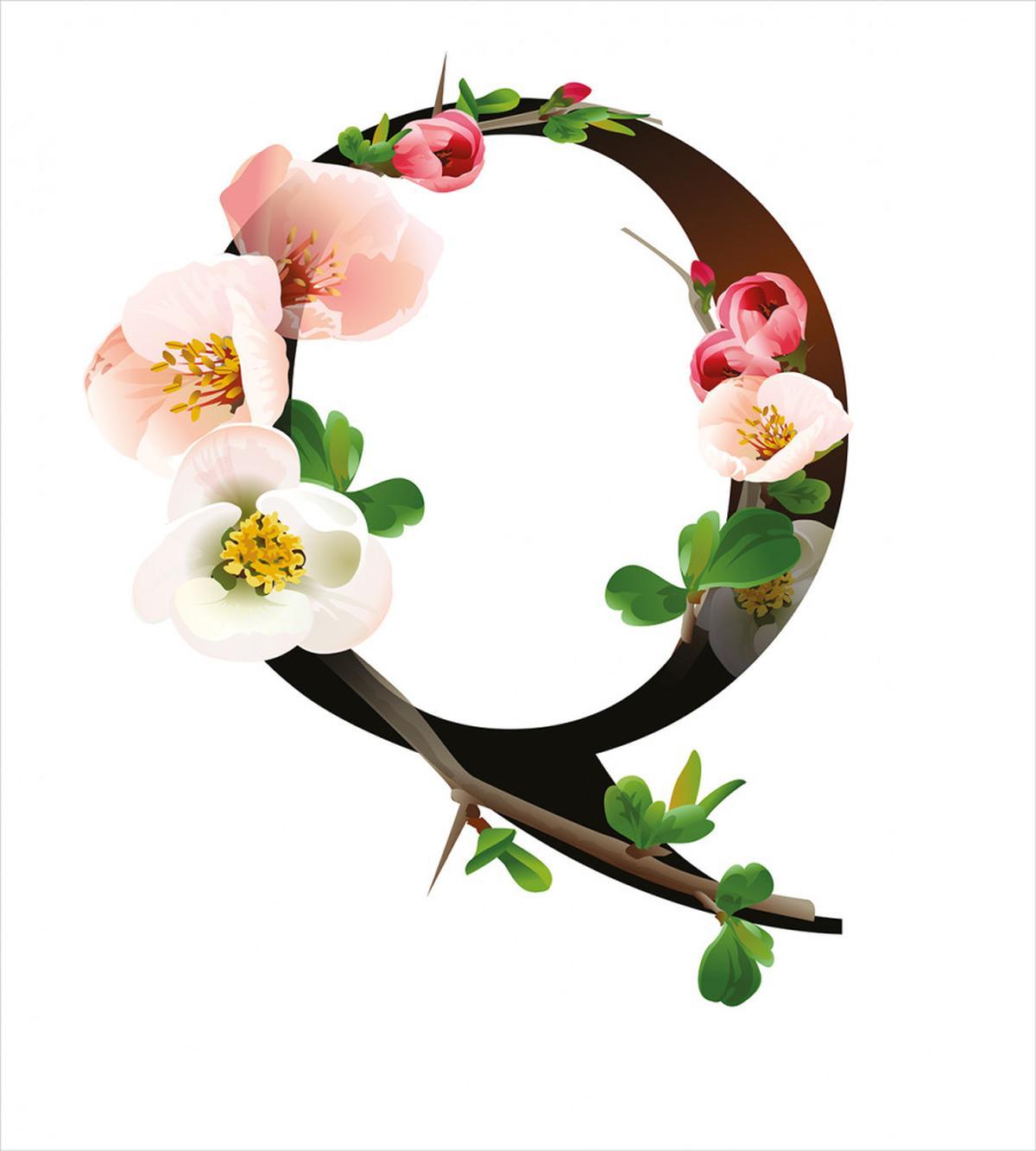 Q with Quince Flora — Pattern