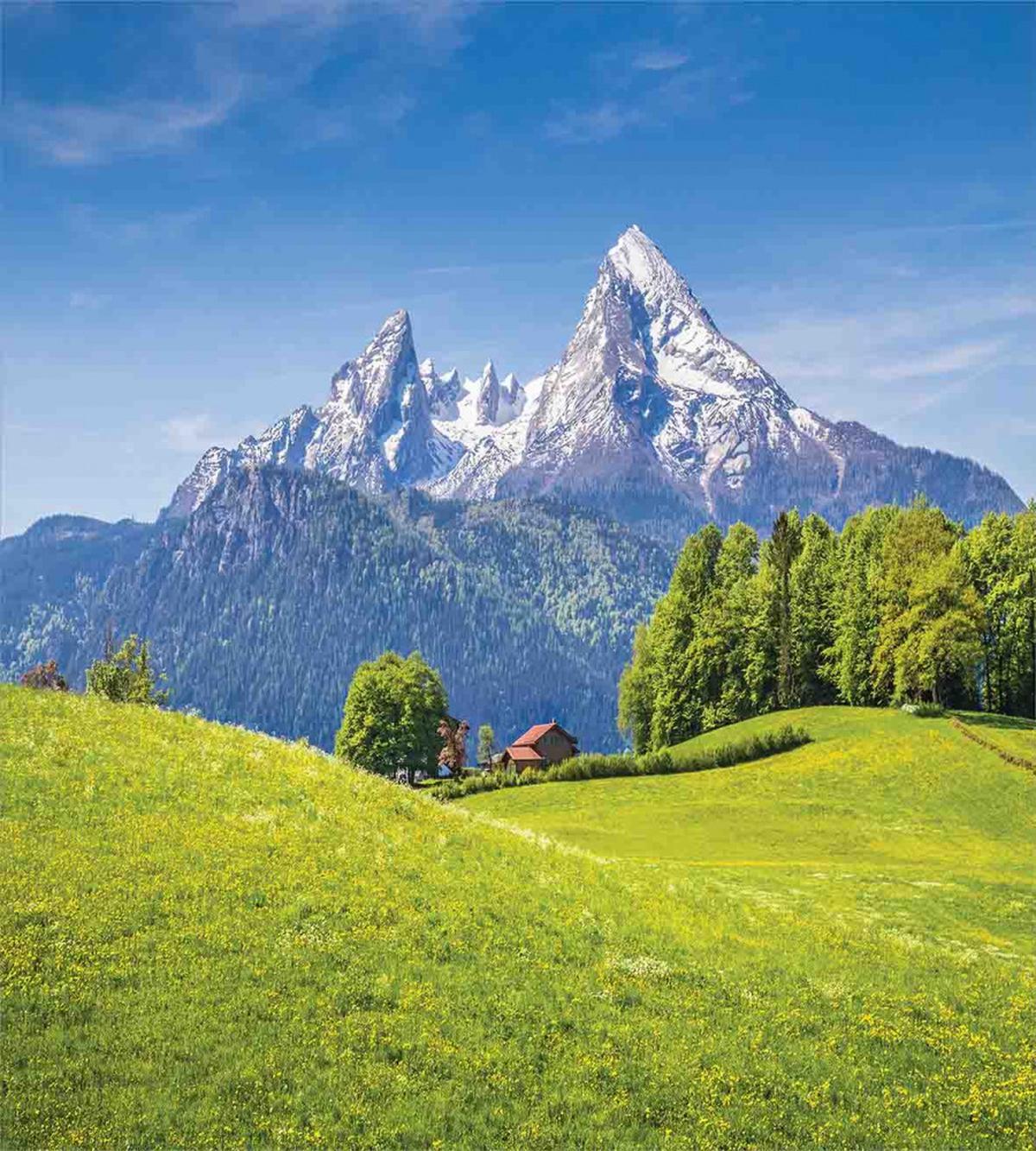 Alps with Meadow Flora — Pattern