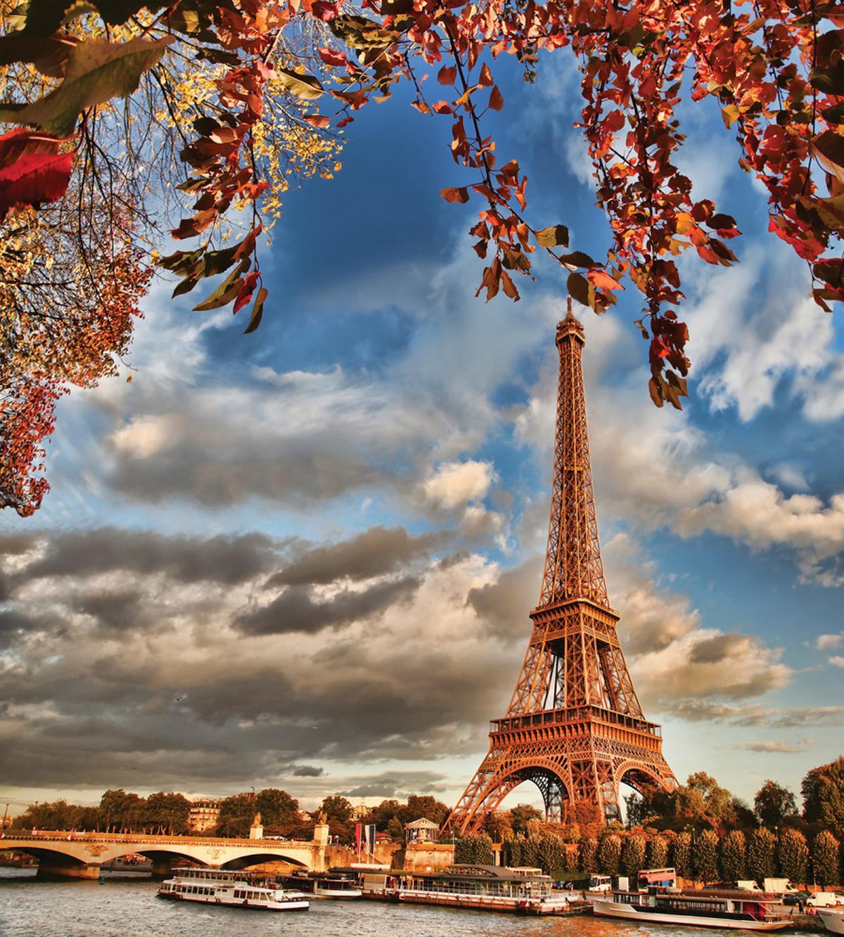 Beauty of Autumn Eiffel View — Pattern