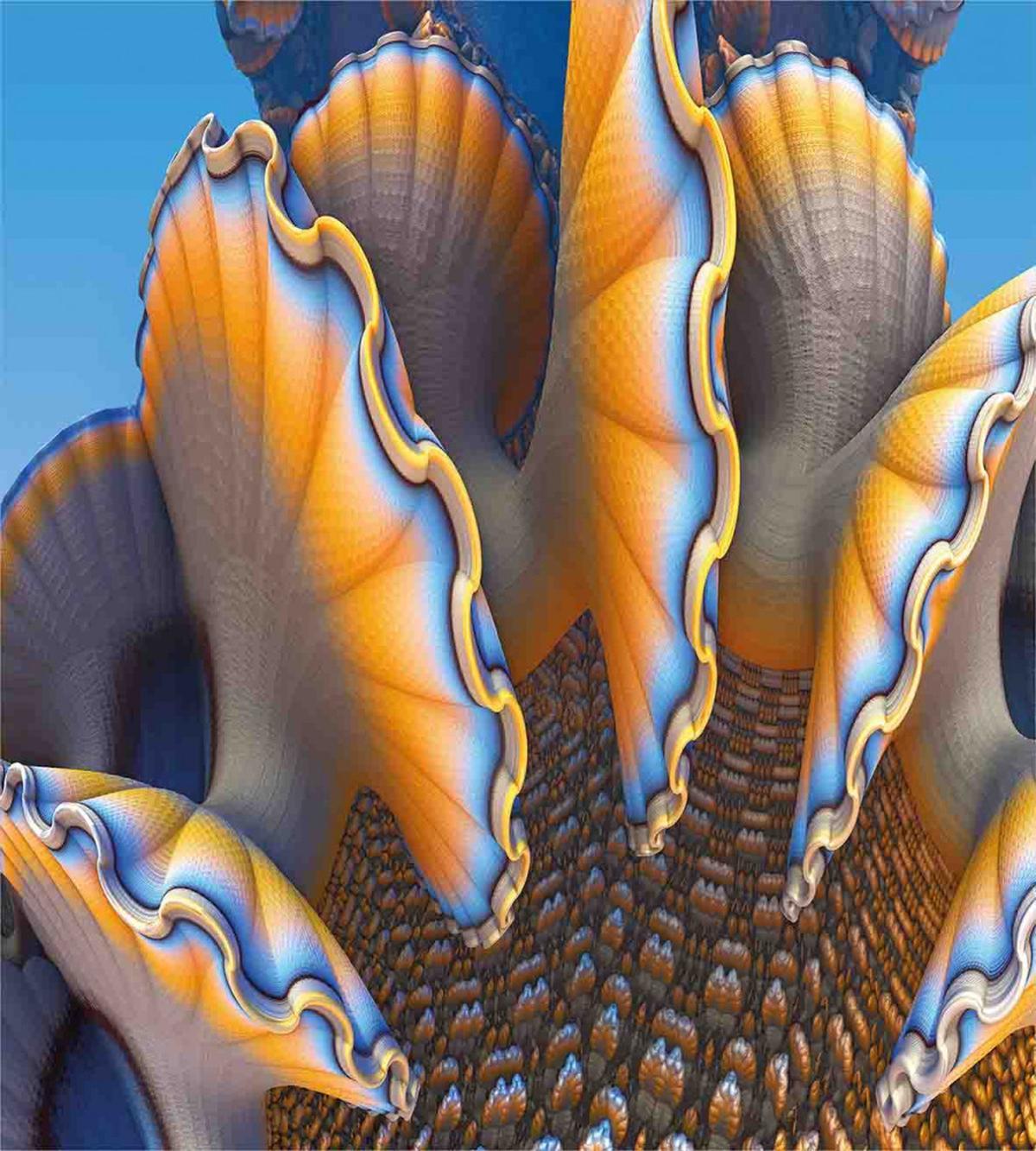 Shells in Sea Ocean — Pattern
