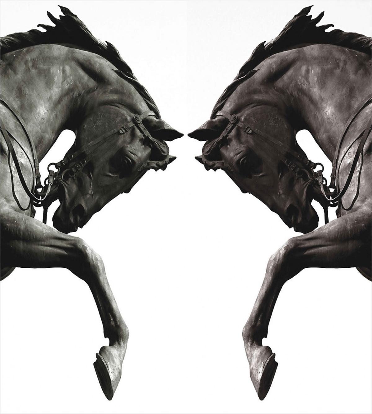 Abstract Horse — Pattern